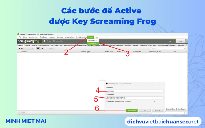 Các bước để Active được Key Screaming Frog